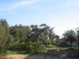 Site (1)